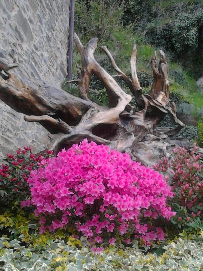 O Paxar Holiday home *